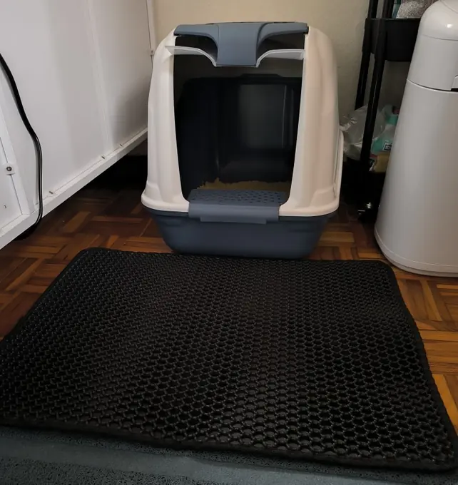 Photo d'un acheteur montrant le tapis de litière Minopatte en situation