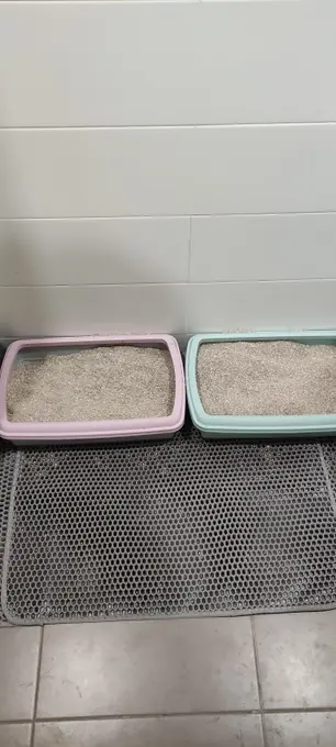 Photo d'un acheteur montrant le tapis de litière Minopatte en situation
