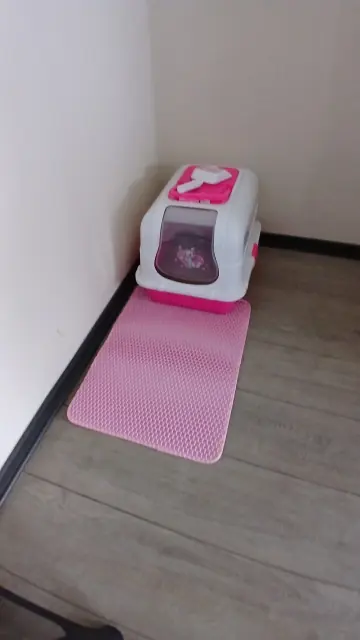 Photo d'un acheteur montrant le tapis de litière Minopatte en situation