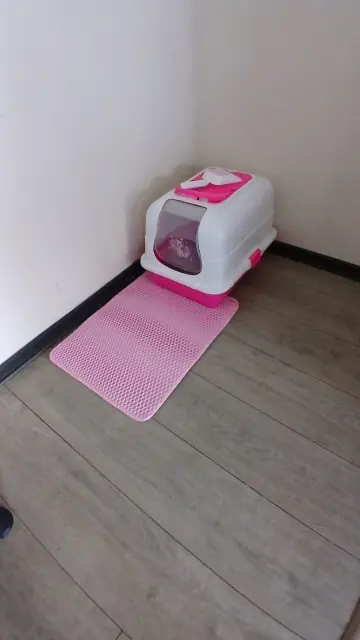 Photo d'un acheteur montrant le tapis de litière Minopatte en situation